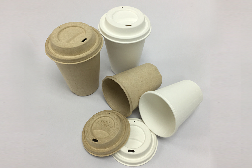 Disposable Cup & Lid